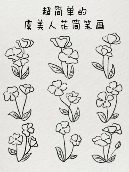小花简笔画虞美人花