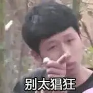 别太猖狂(王境泽指人表情包)