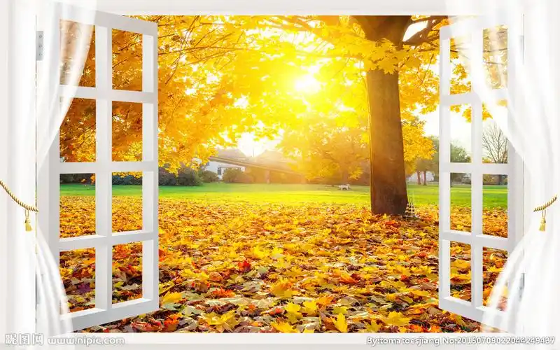 3d电视背景墙图片