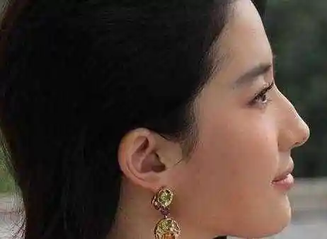 刘亦菲鼻子面相(严重的驼峰鼻图片),刘亦菲鼻翼大吗