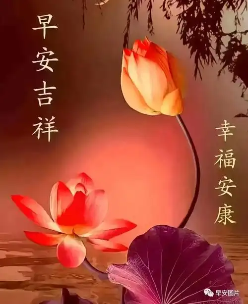最新版漂亮早安祝福语表情图片大全,愿君周一吉祥安康!