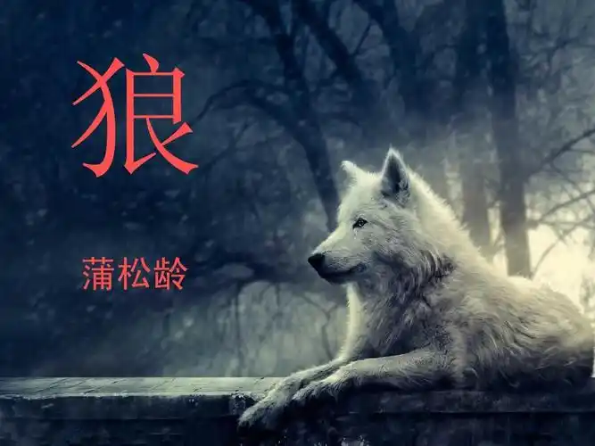 蒲松龄《狼》课件