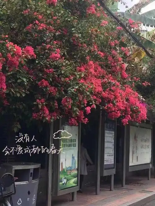 生活本来就是要越来越好的