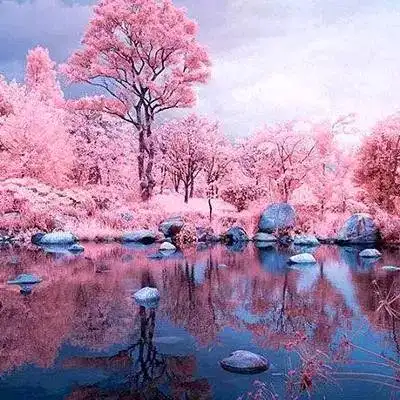 最好看的风景头像