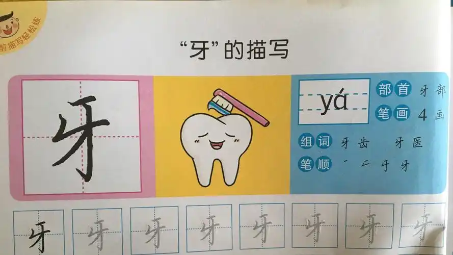 华南师范大学附属(金山)幼儿园—大班《幼小衔接—"牙"的描写》
