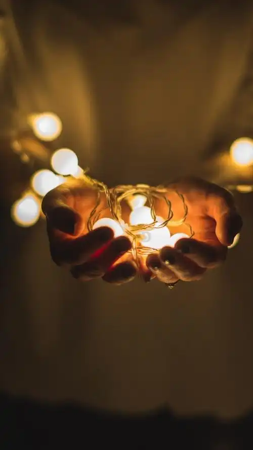 手机主题图片壁纸个性 静物手机壁纸