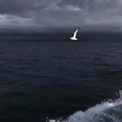 冷淡风朋友圈背景图封面