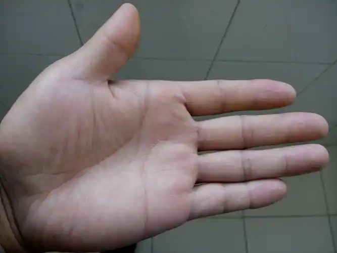 帮忙看下手相,男 左手.