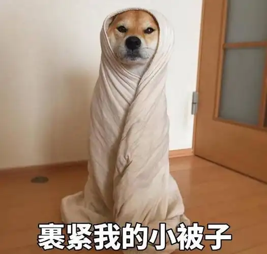 6个小"秘诀"帮你省下一半电费 拯救你的钱包!