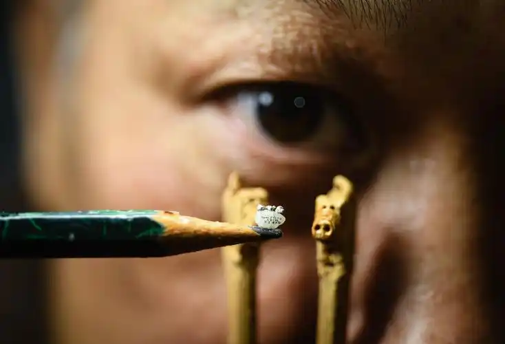 台湾艺术家微雕"三只小猪"迎新年