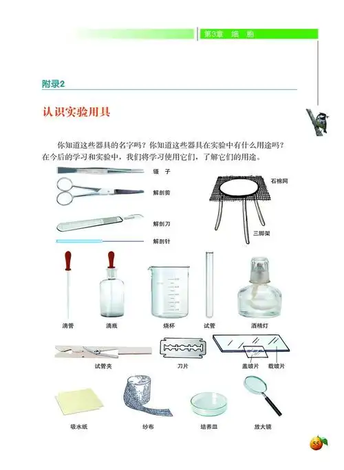 北师大版初中生物初一生物上册认识实验用具第0页