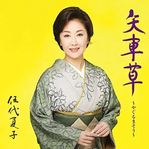 江ノ电-白い日伞-(オリジナル99カラオケ)_伍代夏子_单曲在线试听