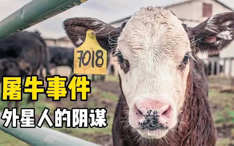 外星人的阴谋诡计 屠牛事件背后的秘密_哔哩哔哩_bilibili