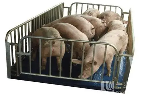 铁岭5吨电子地磅秤.5吨电子泵秤畅销