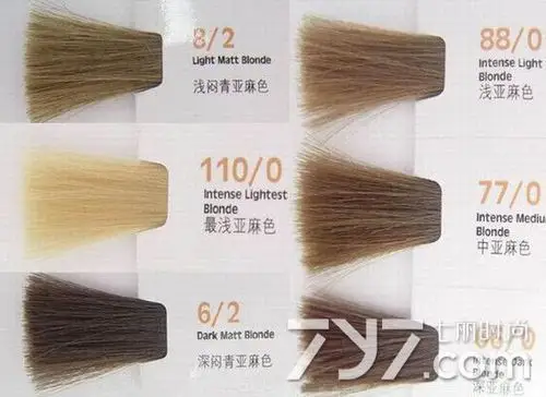 许多时尚的少男少女喜欢将头发染成亚麻色,在太阳光下显得温暖,慵懒.