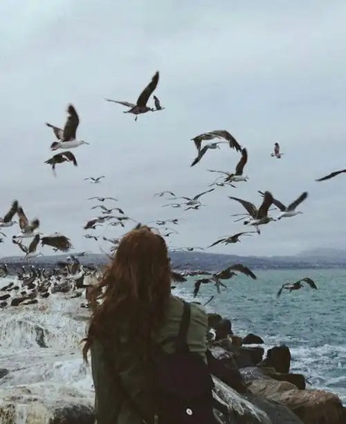 欧美 背影 - 堆糖,美图壁纸兴趣社区