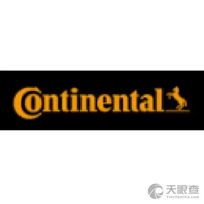 大陆汽车电子(芜湖)有限公司logo