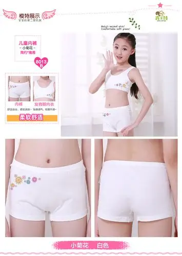 新款上市女孩内裤910121315岁中大童女童儿童纯小学生女内裤