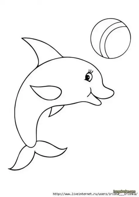 儿童简笔画海豚顶球 简笔画图片大全-蒲城教育文学网