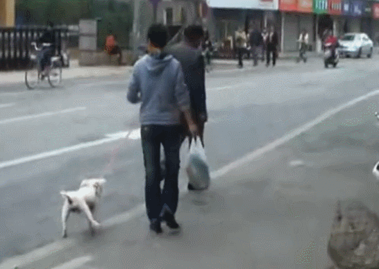 546_388gif 动态图 动图