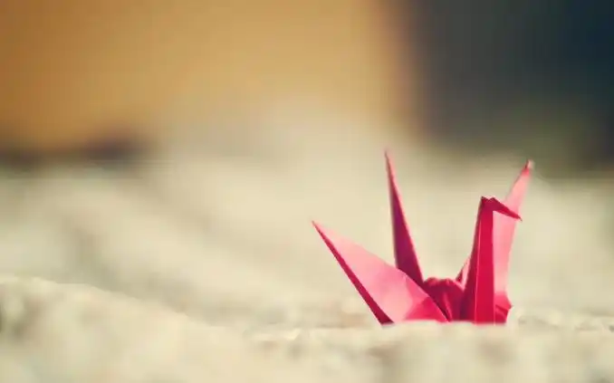 唯美彩色千纸鹤的思念