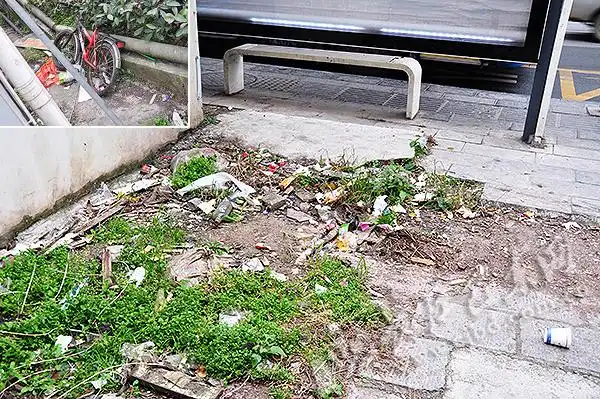 沿江路195号旁公交站牌背后,果皮纸屑垃圾遍地,百步梯旁缝隙内,废弃