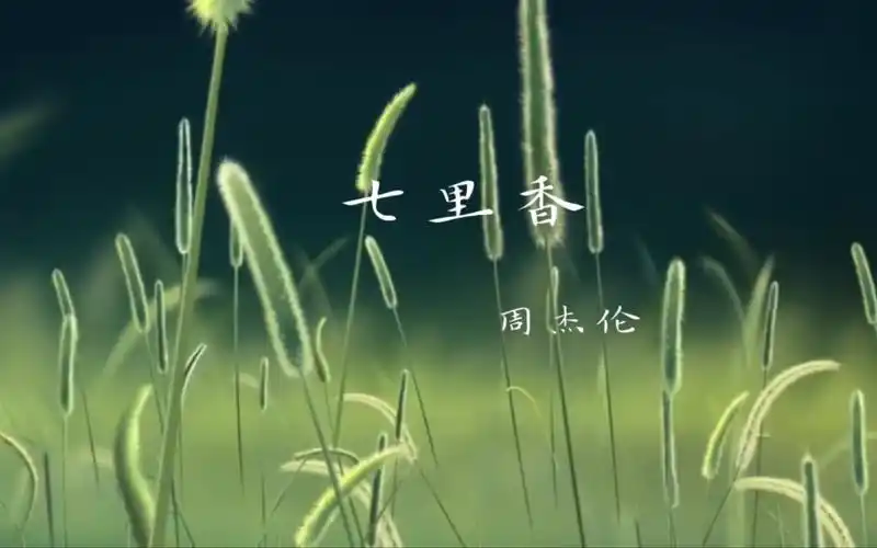 七里香_周杰伦