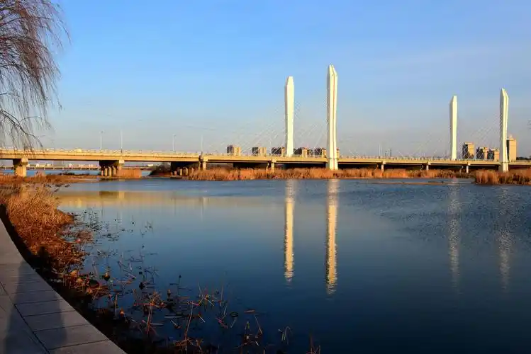 山东安丘市大汶河湿地公园