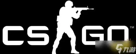 《csgo》印花怎么用?