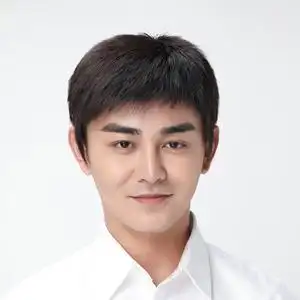 寸头假发男士短发自然帅气平头无痕隐形真发头套中年头顶逼真头发