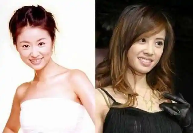 林心如和蔡依林