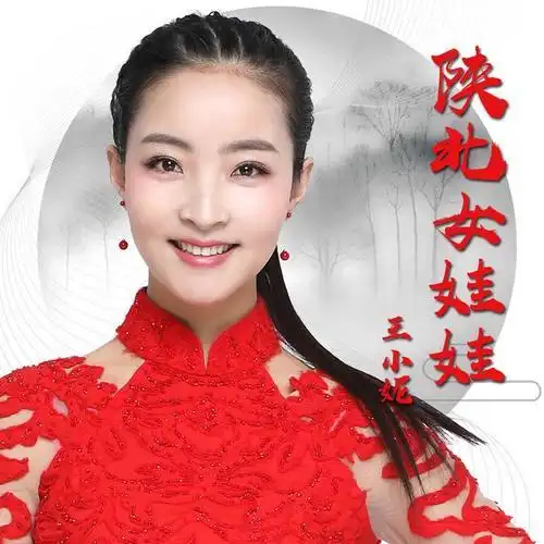 陕北女娃娃_王小妮_单曲在线试听_酷我音乐