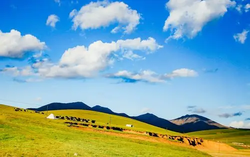 风景壁纸,绿色,清新护眼,美景,大草原,高清图片,壁纸,1920x1200