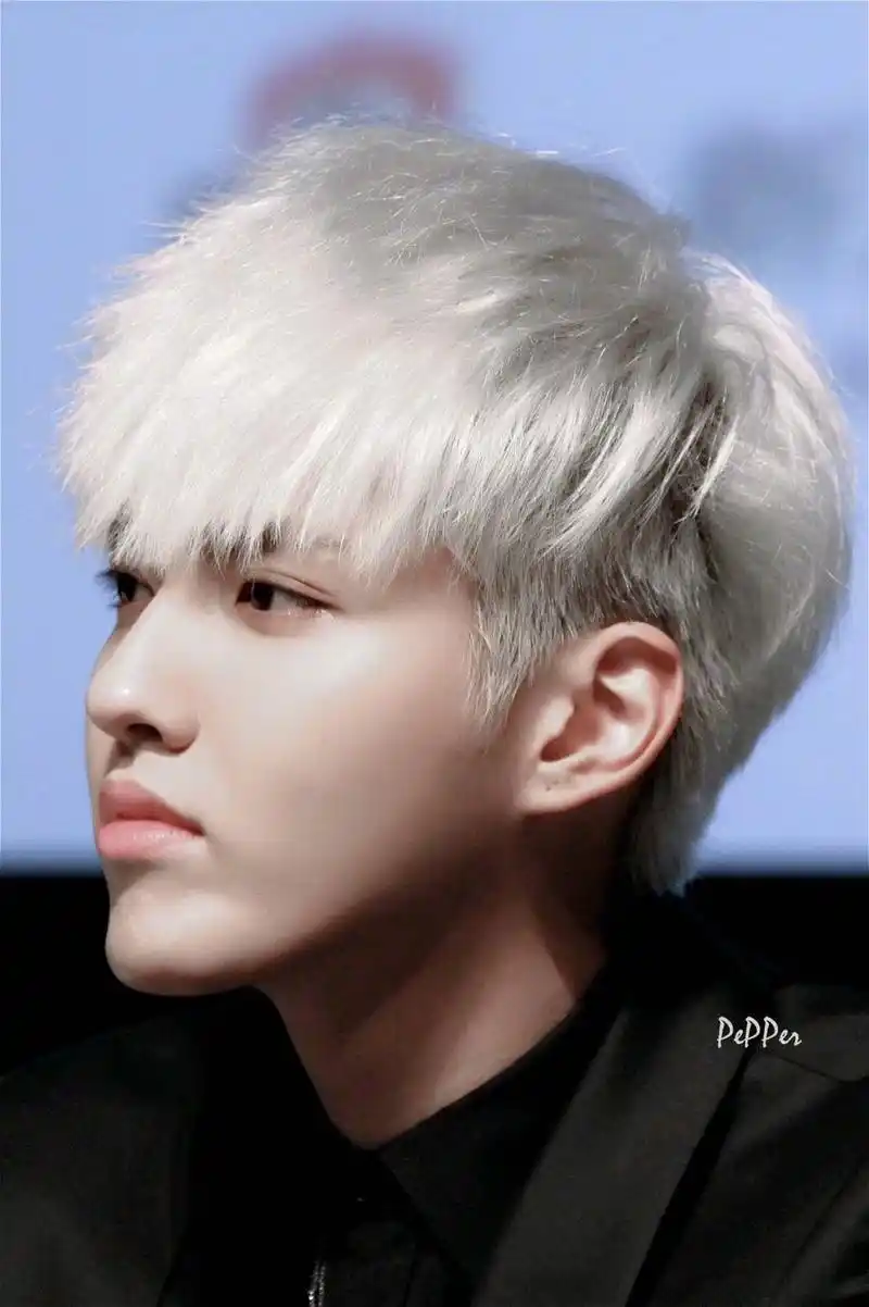 黑发清秀优雅,金发纯真无邪,银发凛冽冷艳自出道以来,吴亦凡踊跃尝试