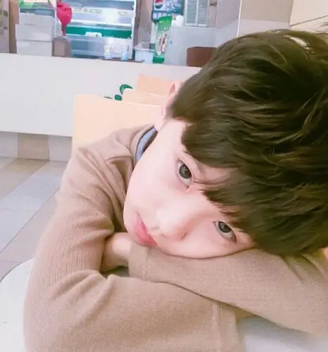 马嘉祺可可爱爱幼崽期图楼