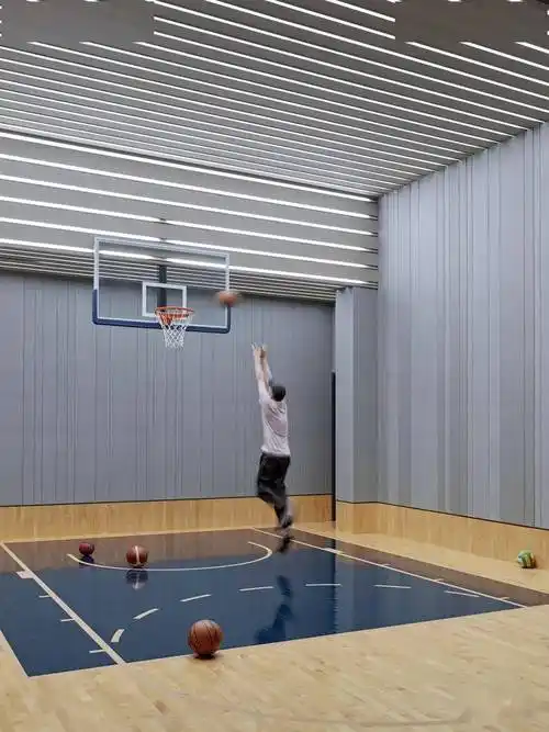 篮球场,游乐园,私人艺廊,1100平米的家有多"任性"!