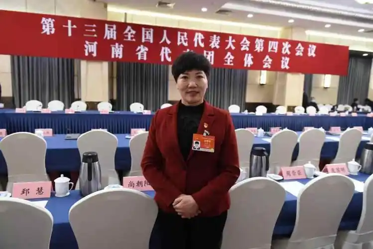 全国人大代表,河南省西平县宋集村党支部书记刘香莲"