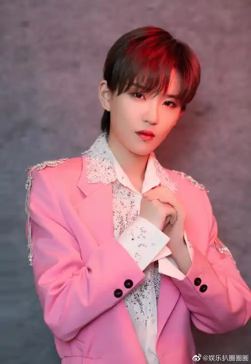 马嘉祺陆柯燃同框#来看陆柯燃央视春晚的粉色西装!