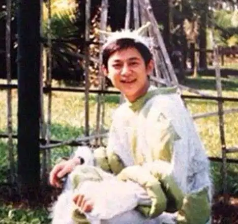 图记忆中的何炅毛毛虫80后的童年回忆