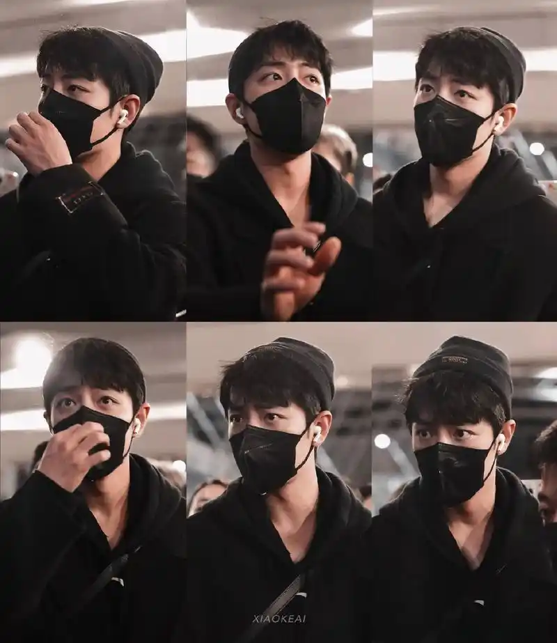 肖战海外粉丝接机应援肖战海外粉丝在米兰接机,人手一朵玫瑰花,小飞侠