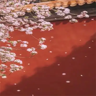 唯美故宫精美图片头像故宫风景图片高清