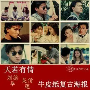 刘德华天若有情