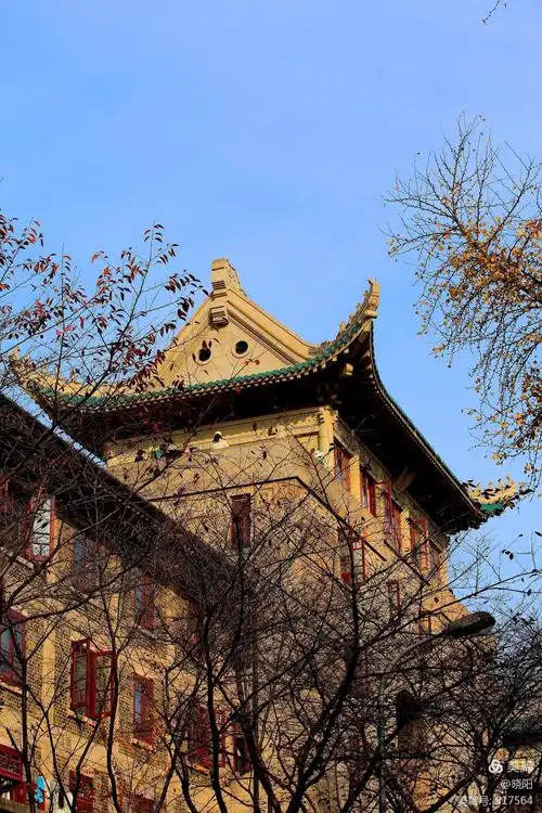 初冬-赏武汉大学校园