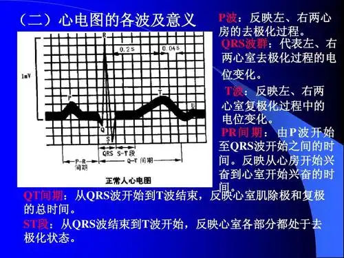 处于去 极化状态.