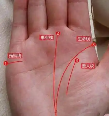 这种手相的女人,生来就是劳碌命,再有钱也无福享受!
