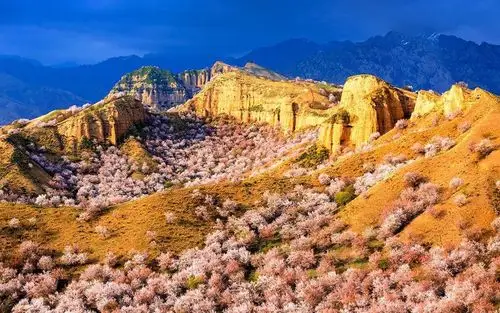 逃离喧嚣,眼前美好的中华福寿山便是我要追寻的心灵家园.