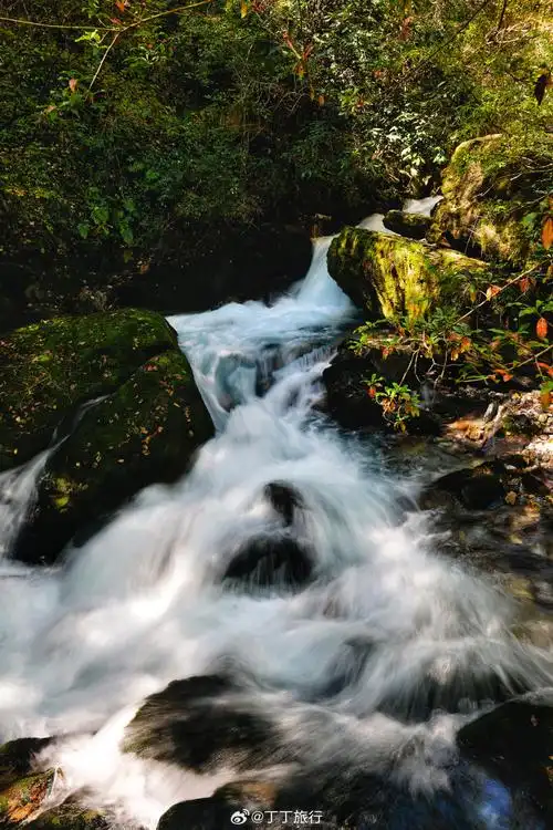 690_1035竖版 竖屏