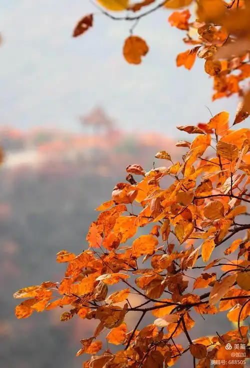 山中秋色～ 山里人