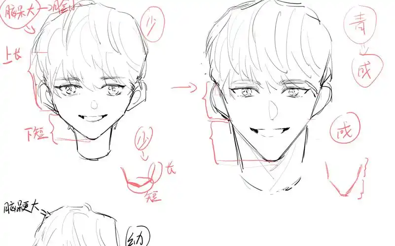 【教程】教你如何画侧脸,不同年龄段男孩子的脸型,霸总的发型
