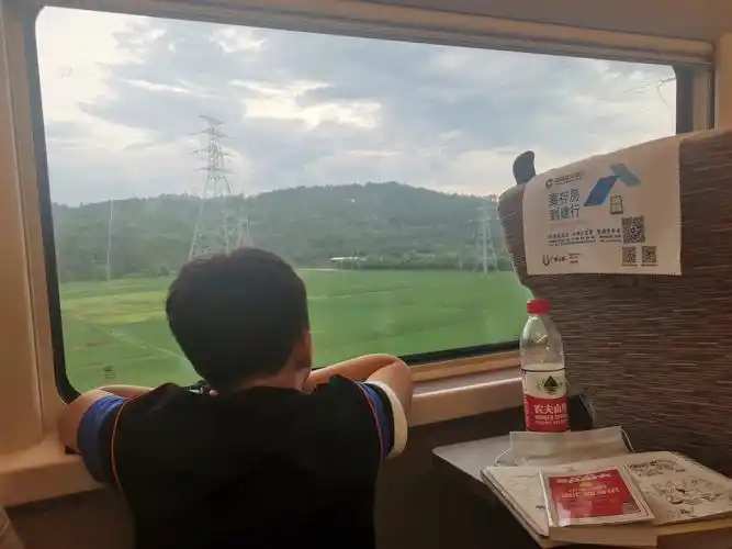 在高铁上,我欣赏着窗外的美景.